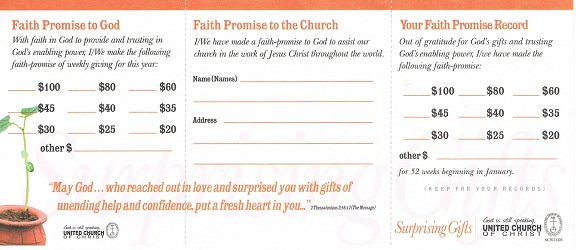 2013 Surprising Gifts Campaign Pledge Card